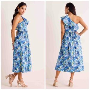 AVARA Nita One Shoulder Dress in Blue Floral New with Tags Size Large